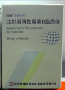 【安速利克】注射用两性